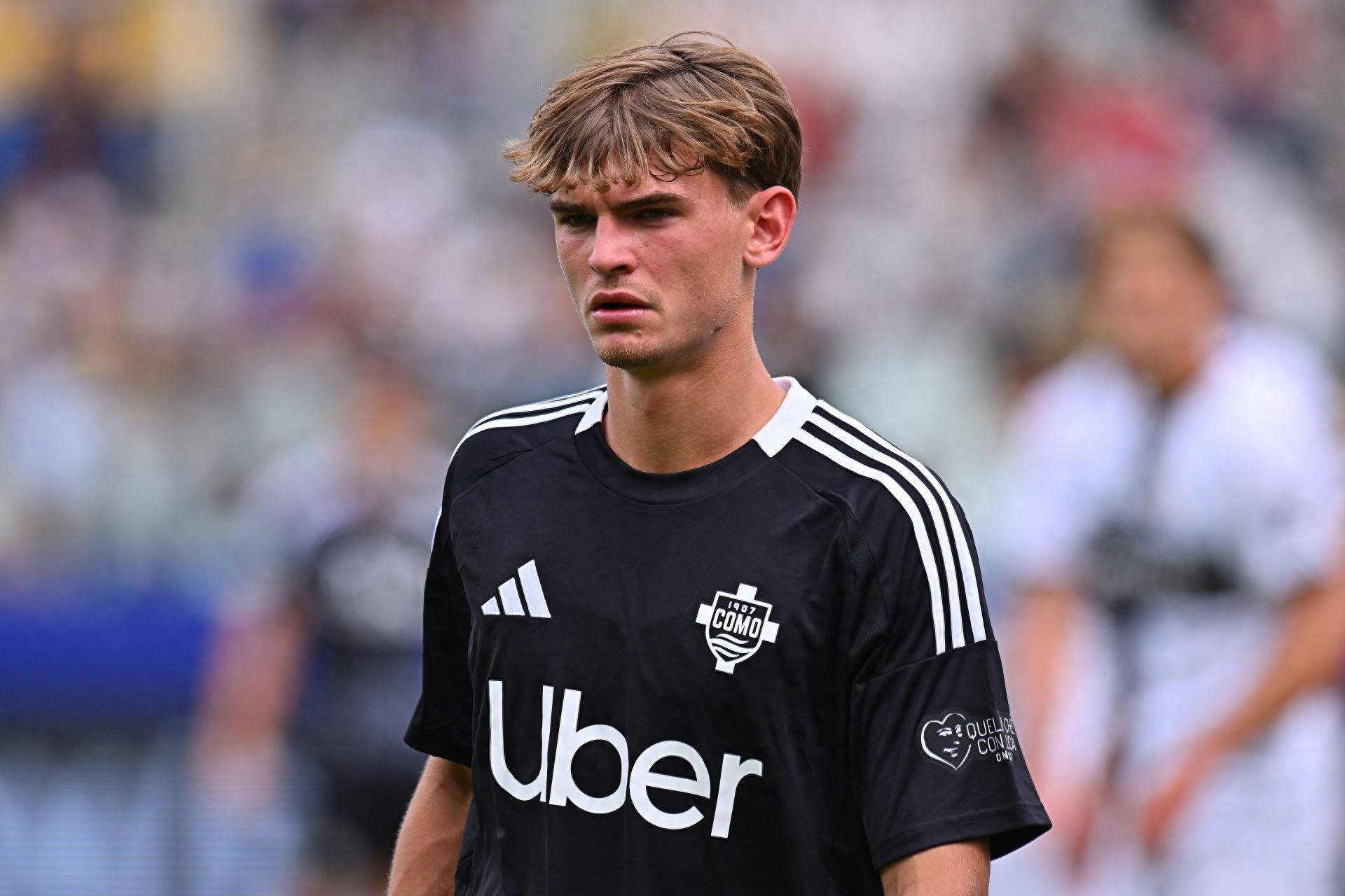 的观赏性和 的观赏性和