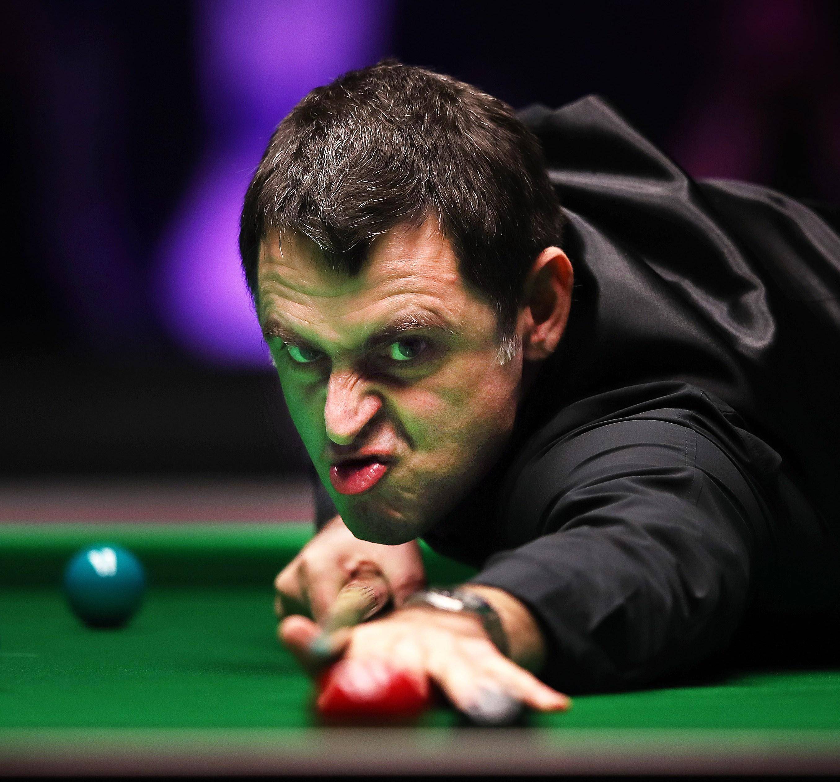 将成为观众 将成为观众