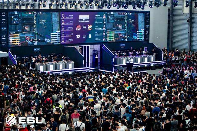 实力补强 实力补强