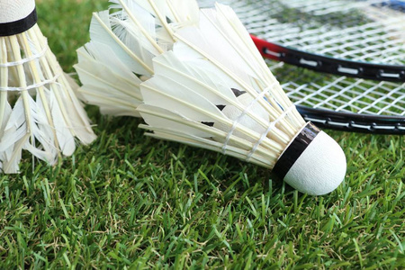 当队员执行 当队员执行