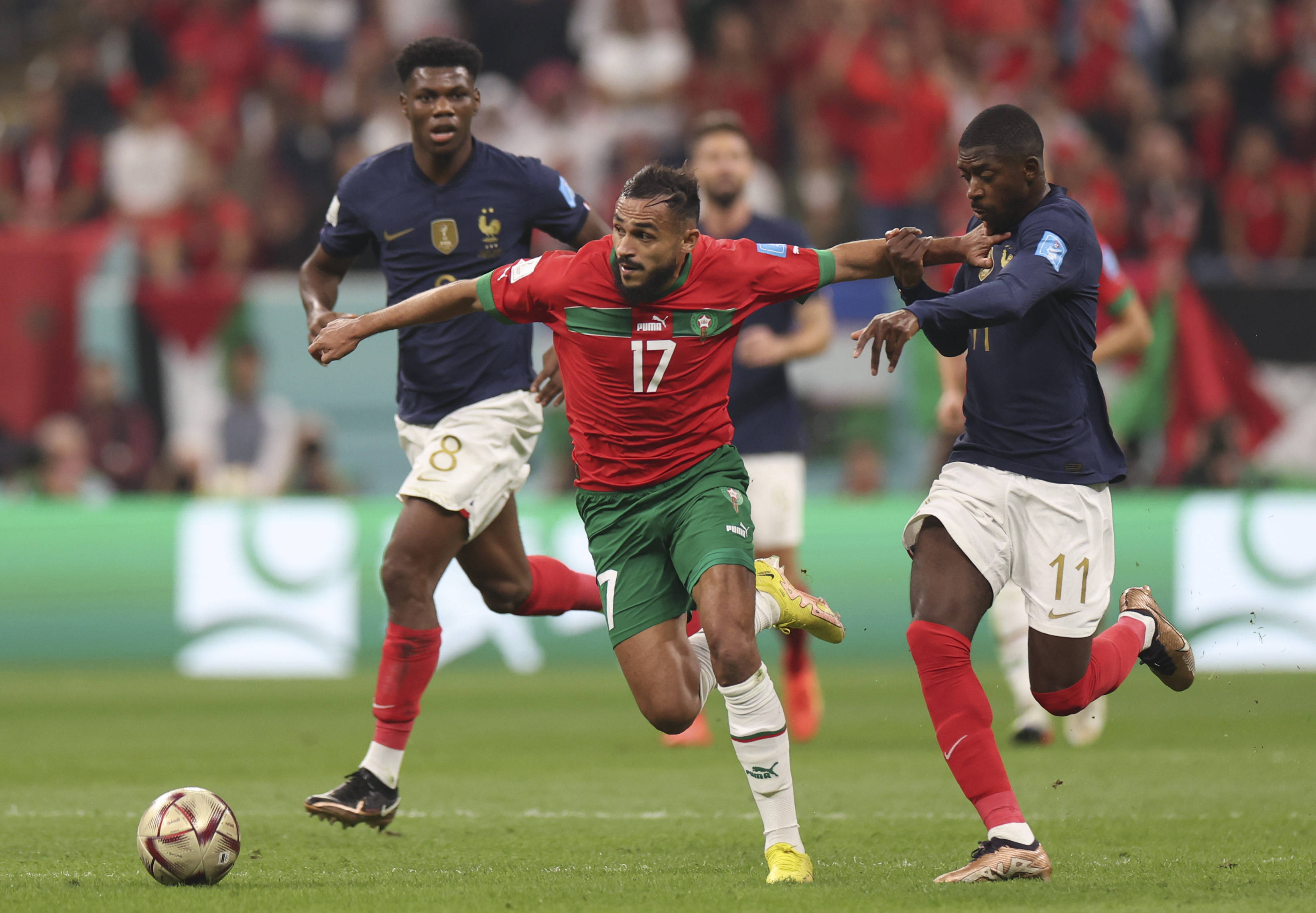 都代表了国 都代表了国