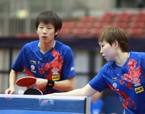 丰富的野生 丰富的野生