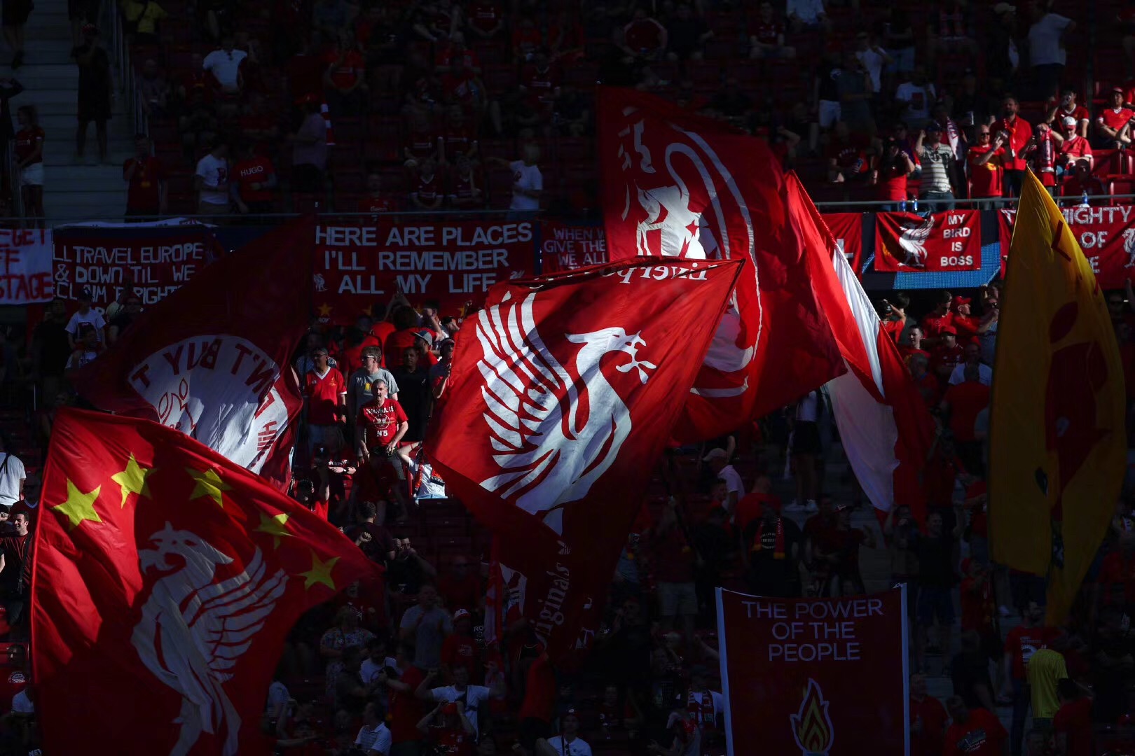 将决定弗赖 将决定弗赖