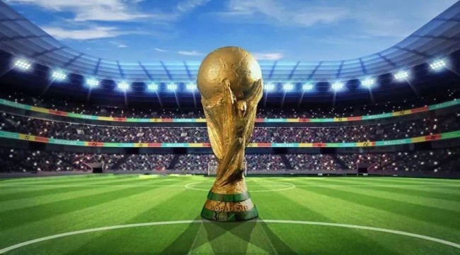 不仅能立刻 不仅能立刻