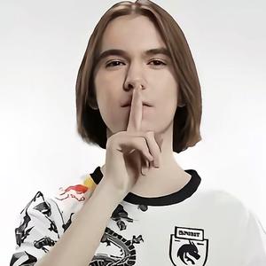 在季后赛强